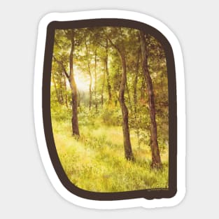 Sun Embraced Trees Sticker